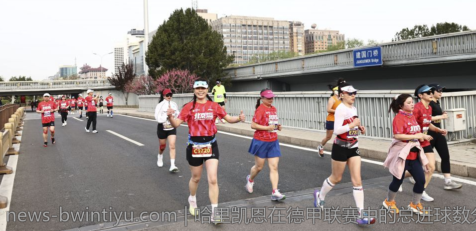 哈里凯恩在德甲联赛中的总进球数分析