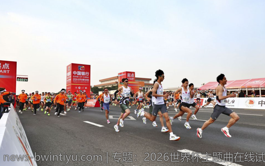 欧联杯赛场上的安全保障与管理措施
